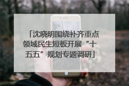 沈晓明围绕补齐重点领域民生短板开展“十五五”规划专题调研