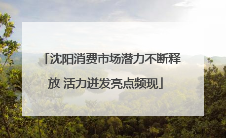 沈阳消费市场潜力不断释放 活力迸发亮点频现