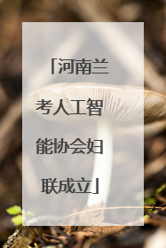河南兰考人工智能协会妇联成立