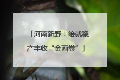 河南新野：绘就稳产丰收“金画卷”