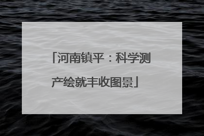 河南镇平：科学测产绘就丰收图景