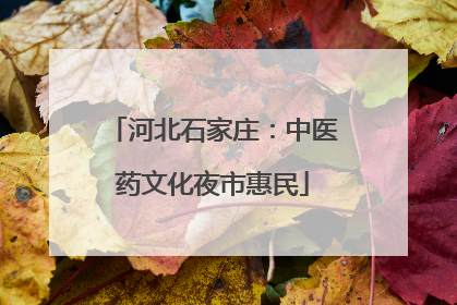 河北石家庄：中医药文化夜市惠民