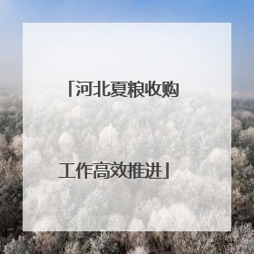 河北夏粮收购工作高效推进