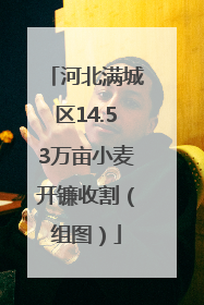 河北满城区14.53万亩小麦开镰收割（组图）