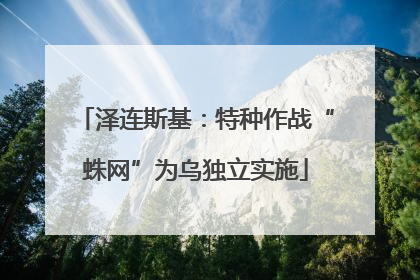 泽连斯基：特种作战“蛛网”为乌独立实施
