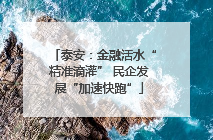 泰安：金融活水“精准滴灌” 民企发展“加速快跑”