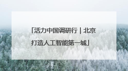 活力中国调研行｜北京打造人工智能第一城