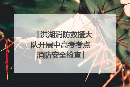 洪湖消防救援大队开展中高考考点消防安全检查