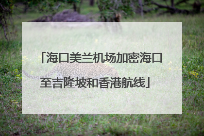 海口美兰机场加密海口至吉隆坡和香港航线
