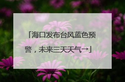 海口发布台风蓝色预警，未来三天天气→