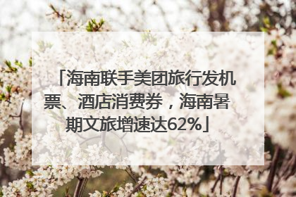 海南联手美团旅行发机票、酒店消费券，海南暑期文旅增速达62%