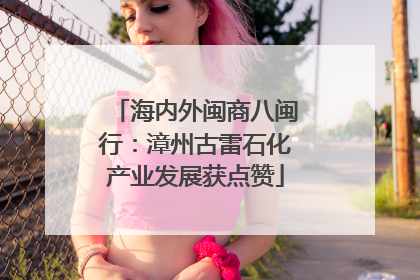 海内外闽商八闽行：漳州古雷石化产业发展获点赞