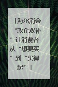海尔消金“政企双补”让消费者从“想要买”到“买得起”