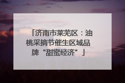 济南市莱芜区：油桃采摘节催生区域品牌“甜蜜经济”