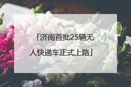 济南首批25辆无人快递车正式上路