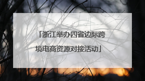 浙江举办四省边际跨境电商资源对接活动