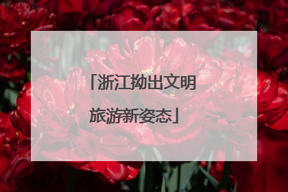 浙江拗出文明旅游新姿态