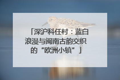 深沪科任村：蓝白浪漫与闽南古韵交织的“欧洲小镇”