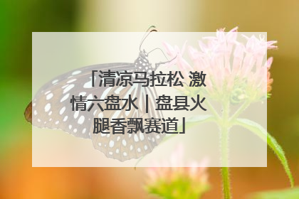 清凉马拉松 激情六盘水｜盘县火腿香飘赛道