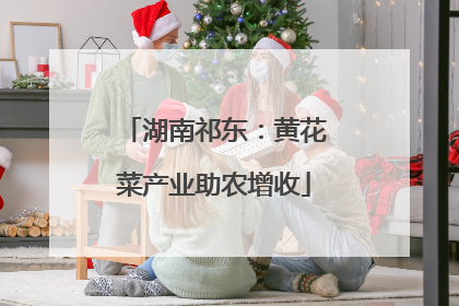 湖南祁东：黄花菜产业助农增收