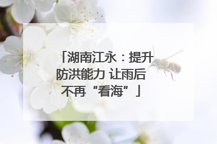 湖南江永：提升防洪能力 让雨后不再“看海”