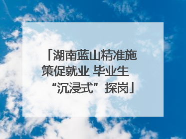 湖南蓝山精准施策促就业 毕业生“沉浸式”探岗