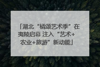 湖北“橘颂艺术季”在夷陵启幕 注入“艺术+农业+旅游”新动能