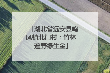 湖北省远安县鸣凤镇北门村：竹林遍野绿生金