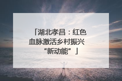 湖北孝昌：红色血脉激活乡村振兴“新动能”