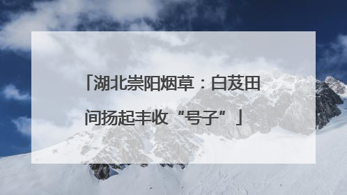 湖北崇阳烟草：白芨田间扬起丰收“号子”