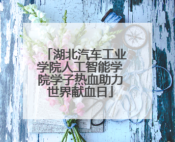 湖北汽车工业学院人工智能学院学子热血助力世界献血日