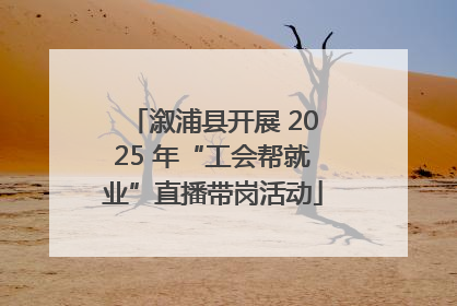 溆浦县开展 2025 年“工会帮就业”直播带岗活动
