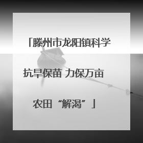 滕州市龙阳镇科学抗旱保苗 力保万亩农田“解渴”