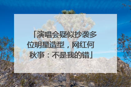 演唱会疑似抄袭多位明星造型，网红何秋亊：不是我的错