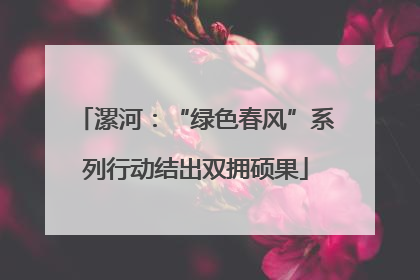 漯河：“绿色春风”系列行动结出双拥硕果