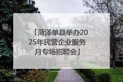 菏泽单县举办2025年民营企业服务月专场招聘会