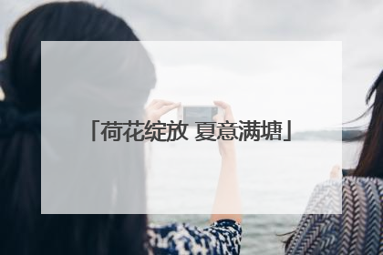 荷花绽放 夏意满塘