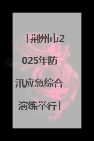 荆州市2025年防汛应急综合演练举行