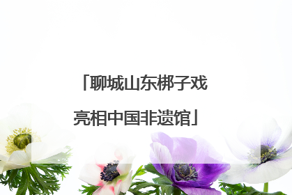 聊城山东梆子戏亮相中国非遗馆