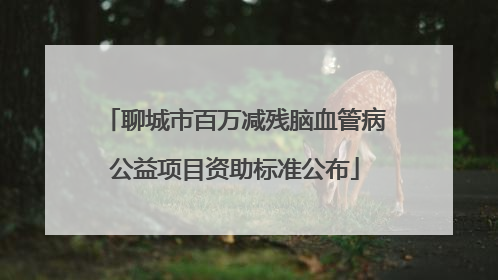 聊城市百万减残脑血管病公益项目资助标准公布