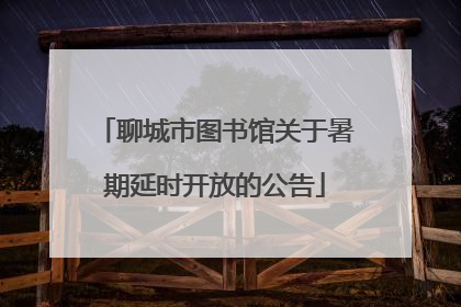 聊城市图书馆关于暑期延时开放的公告
