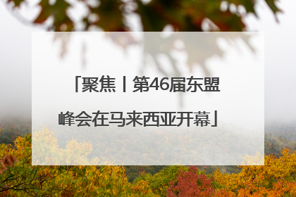 聚焦丨第46届东盟峰会在马来西亚开幕