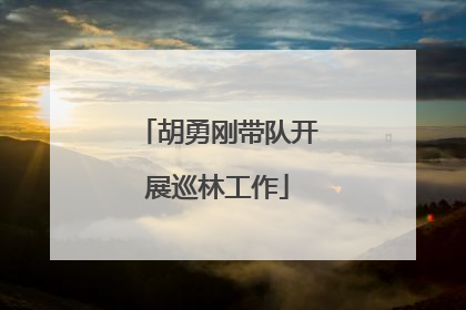 胡勇刚带队开展巡林工作
