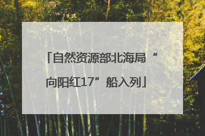 自然资源部北海局“向阳红17”船入列