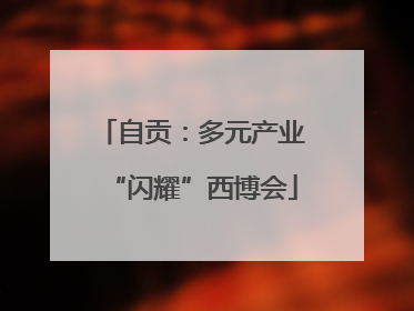 自贡：多元产业“闪耀”西博会