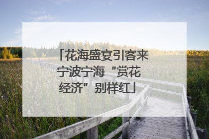 花海盛宴引客来 宁波宁海“赏花经济”别样红