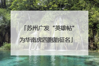 苏州广发“英雄帖”为华南虎四胞胎征名