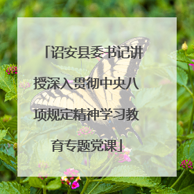 诏安县委书记讲授深入贯彻中央八项规定精神学习教育专题党课