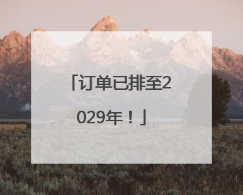 订单已排至2029年！