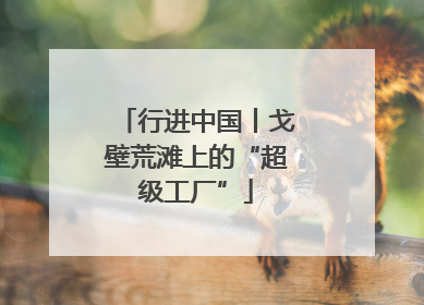 行进中国丨戈壁荒滩上的“超级工厂”